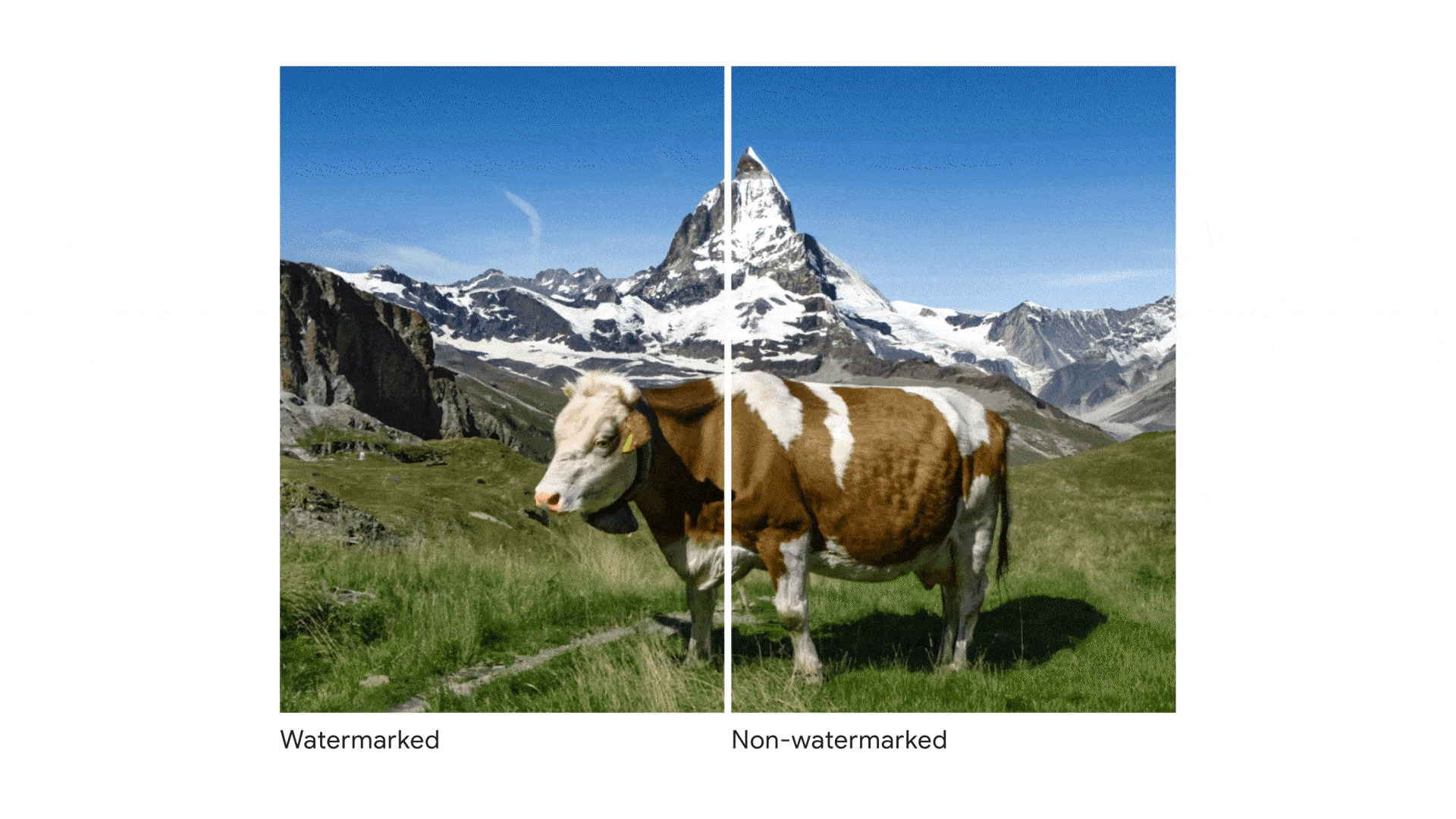 SynthID watermark detection diagram