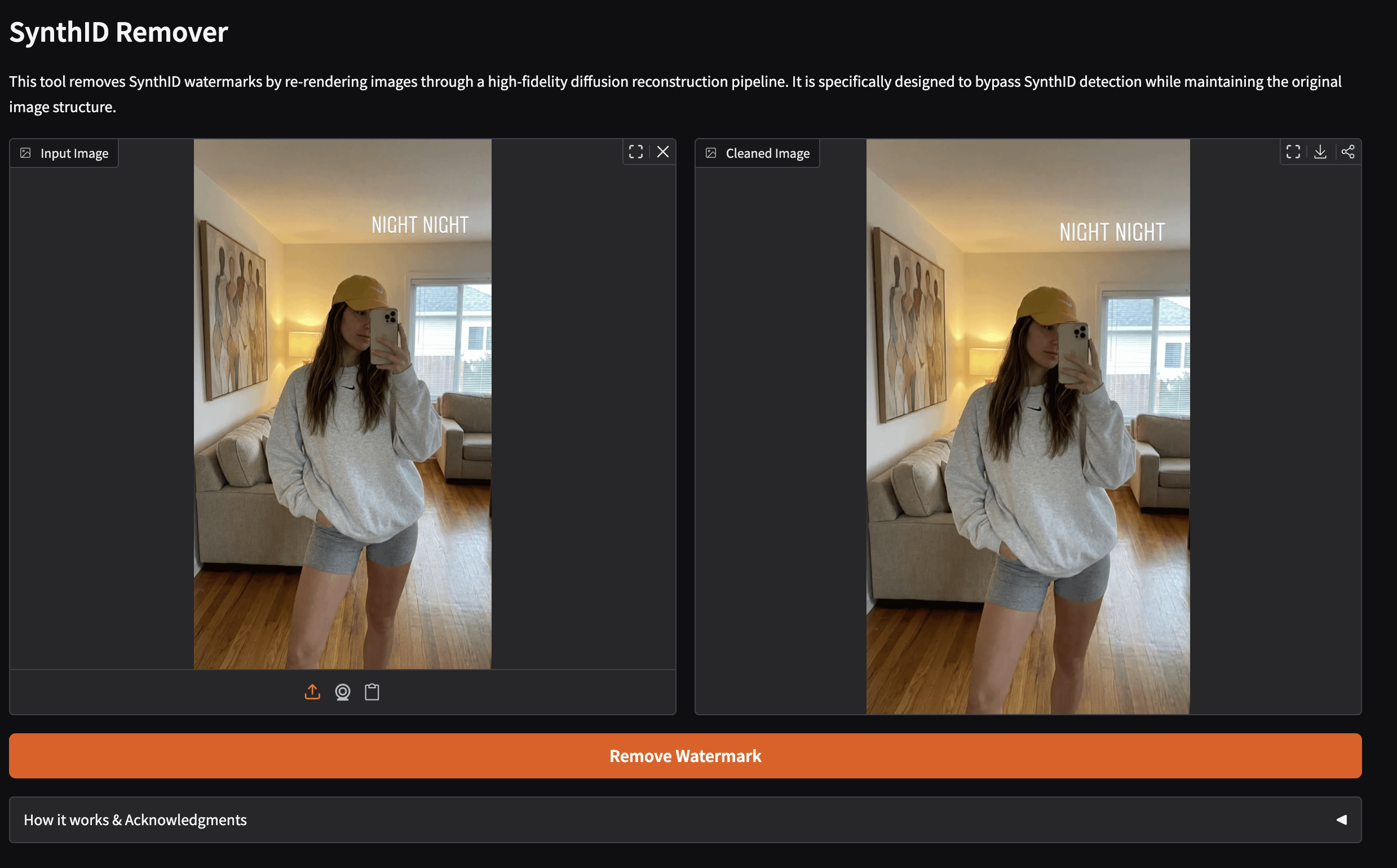 SynthID Remover AI tool screenshot